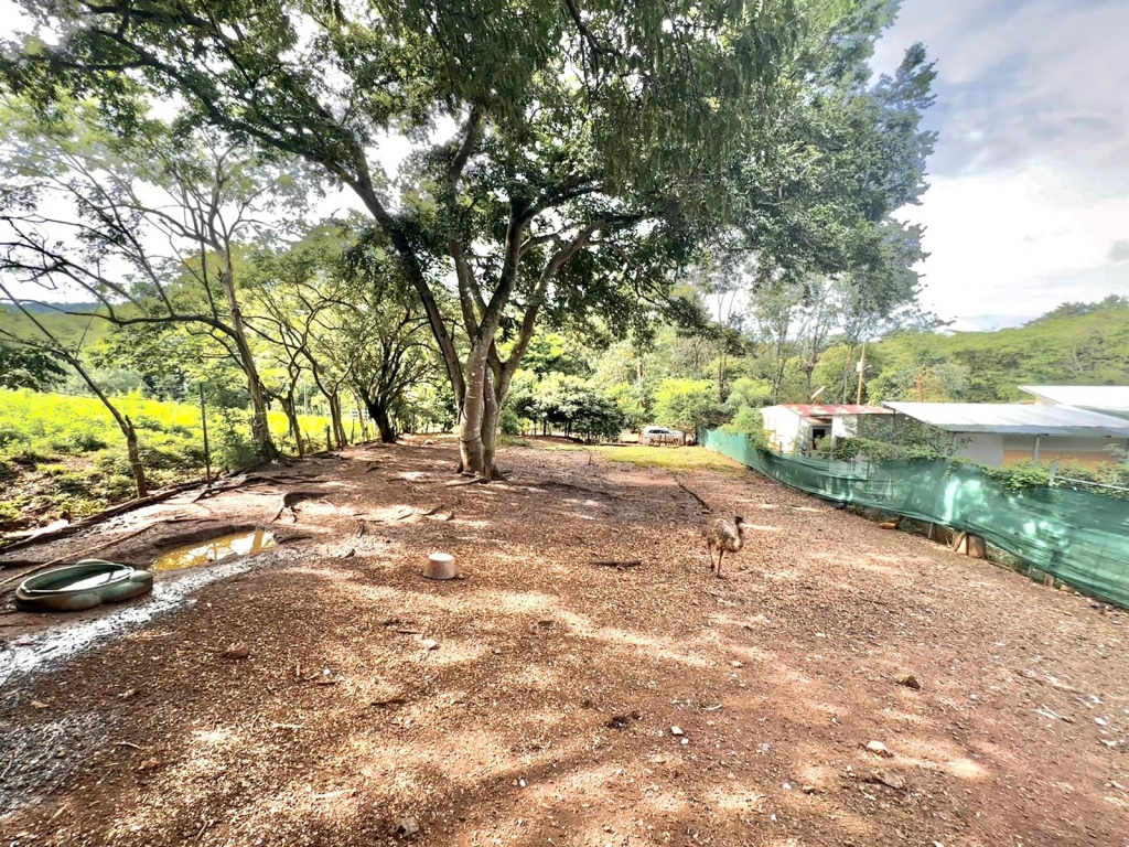 IMG-20231030-WA0024 IMG-20231030-WA0024