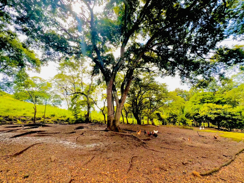 IMG-20231030-WA0036 IMG-20231030-WA0036